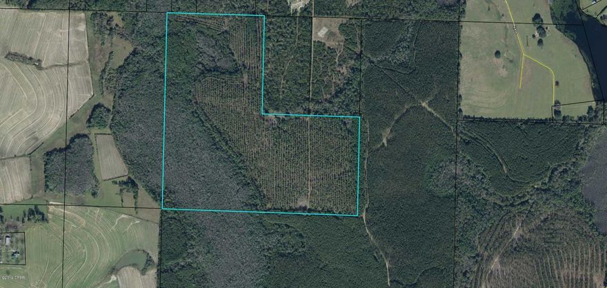 *for comp purposes only*  Great 120 acre tract of land.  Would be great for farming, hunting, or a home site.