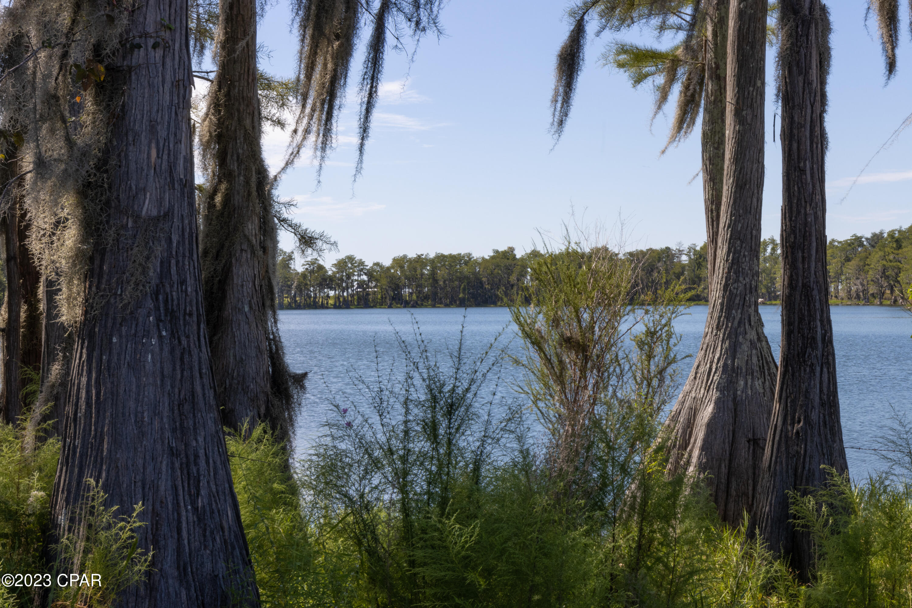 Strickland Lake Estates - Land