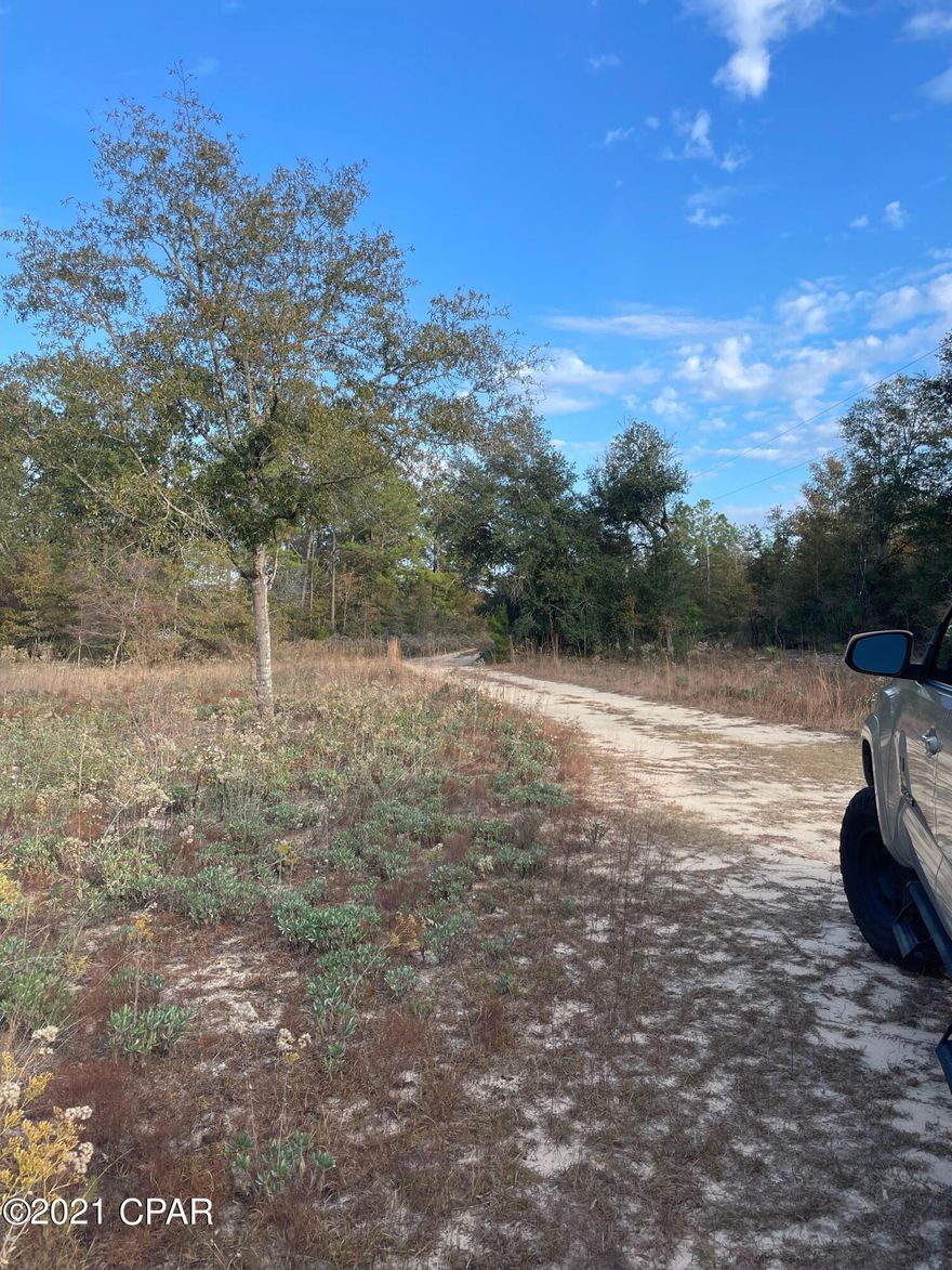 New metal roof 2019! Beautiful ten acres with a mobile home 

needing some work. Mobile home needs to be cleaned up a bit but would make a great home in the country. Property also has a storage shed. All sizes, ages are approximate, please measure and/or verify if important.