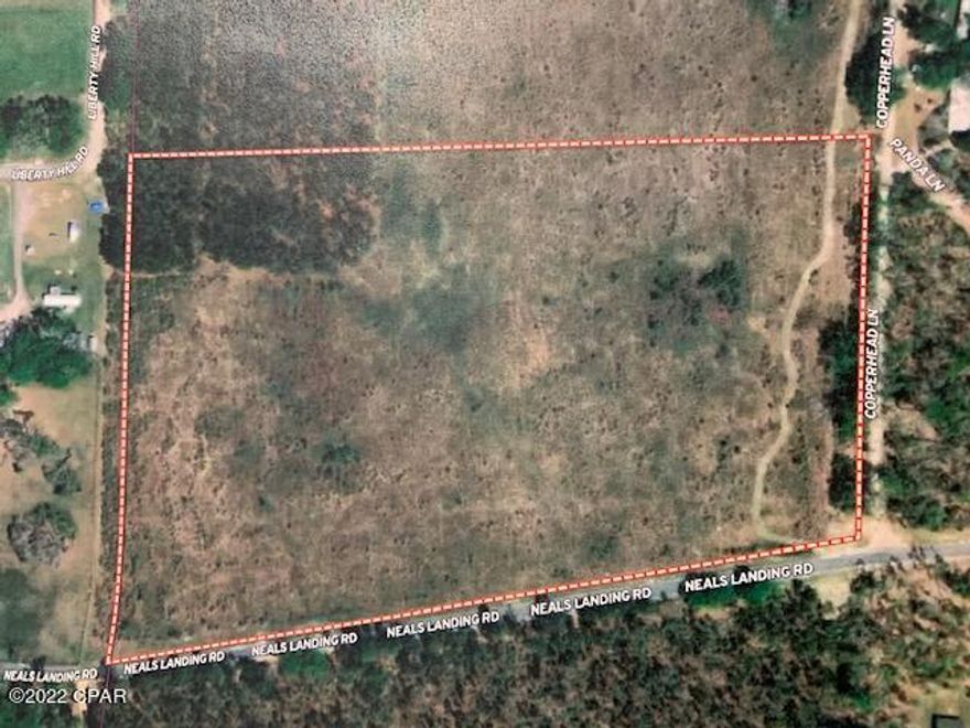 Cut over Timberland, 3 yrs of growth. 1,290 ft of paved rd frontage. Excellent hunting or homesite. Great development property.