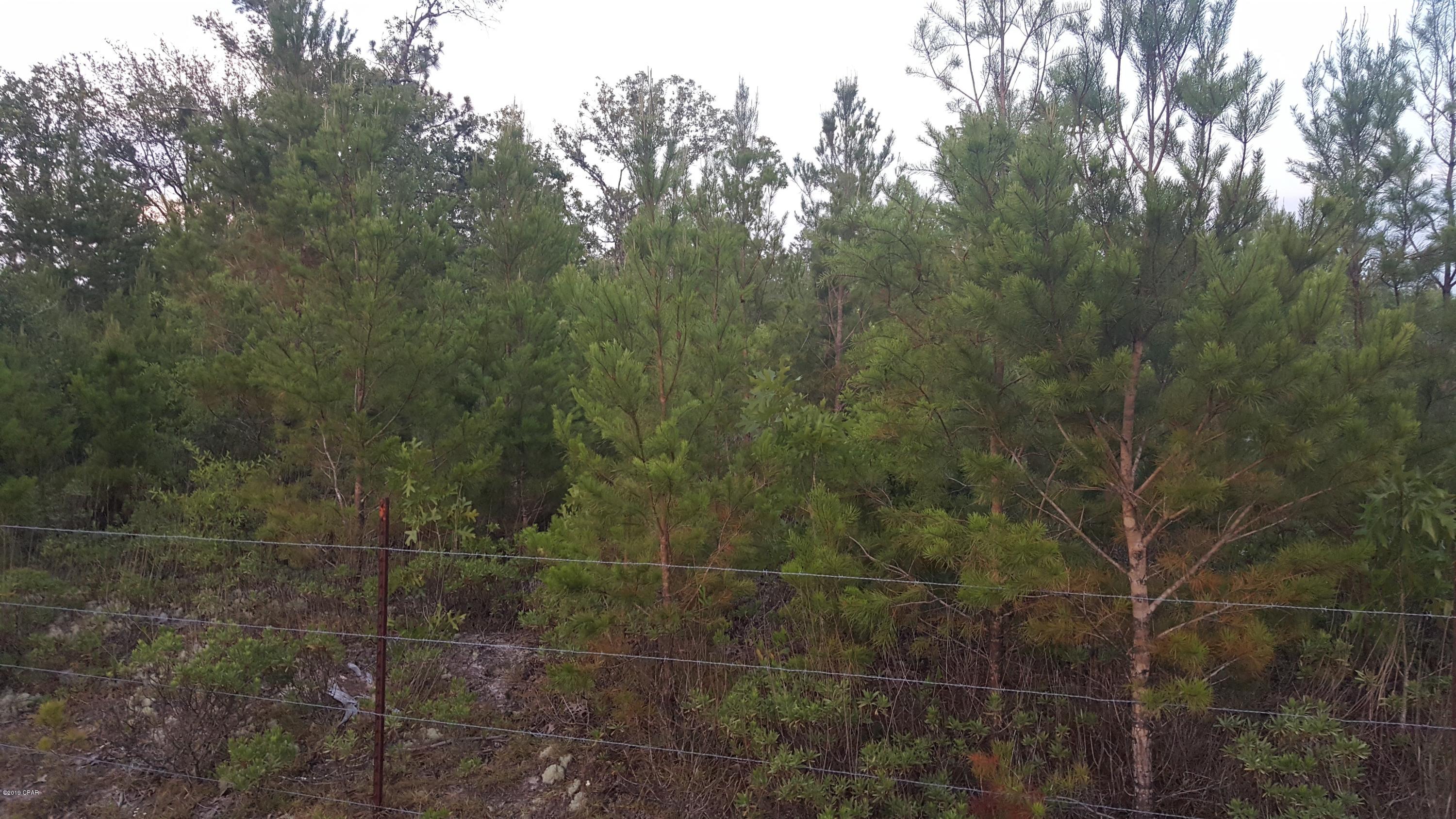 No Named Subdivision - Land