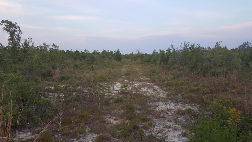 22.73 ACRES!! MOSSY POND AREA! GREAT COUNTRY LOCATION for perfect homesite, investment or recreational property. 22.73 acres in a quiet setting with paved road frontage.  Land has been cleared.  Approximately 45 minute travel time to Panama City Beaches and NW Florida Beaches International Airport, Seller will consider all reasonable offers. Come see it today!