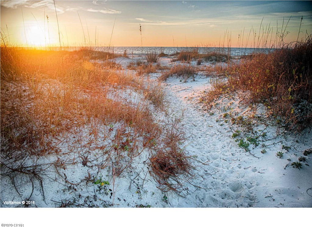 Cape San Blas - Land