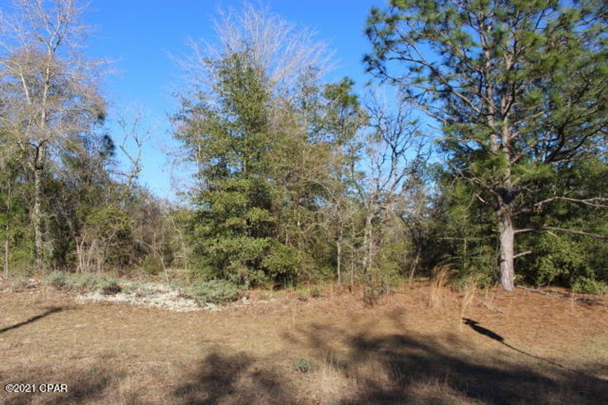 Corner Wooded Lot in Sunny Hills Subdivision. Located north of Panama City and South of I-10 & Chipley. Close drive to Boat Lake & Sunny Hills Golf Course