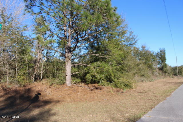 Sunny Hills Unit 1 - Land