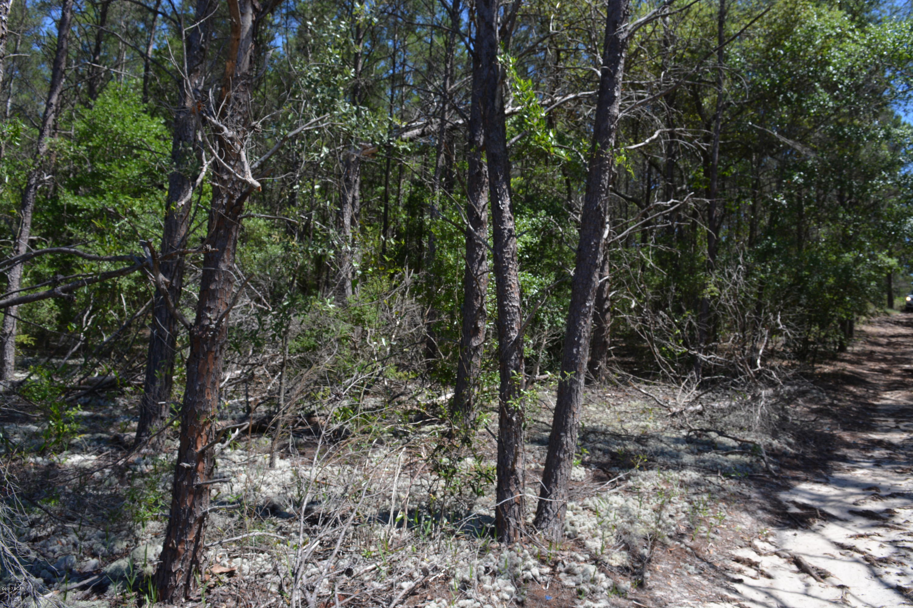 No Named Subdivision - Land