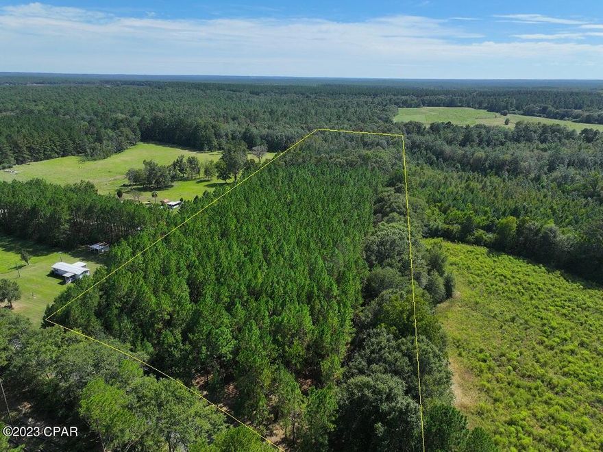 Located in the rural countryside of Baker Florida lies this small acreage multi-use timber tract of which you should find ideal to hunt or develop. There's no question that this fine rural property would make for a wonderful homesite. Perhaps the biggest question would be whether to build deep into the property or out along the property's paved road frontage. Regardless, you'll find plenty of potential building sites in and amongst the nice, planted pines and natural oak flats that make up the property's topography. The timber is primarily composed of a beautiful stand of row planted middle aged pine that could offer income producing possibilities should you choose to harvest. And if hunting is your thing, the wooded acreage and surrounding rural area have all that's needed to support a healthy wild game population. In fact, numerous deer have been seen while walking the property's internal trail system. So no matter if you're looking for a nice little hunting tract or a great location to build your country home, this north Baker - Blackman area property just may be the one for you. Roadside power and water are readily accessible. Give us a call today to arrange your private tour.