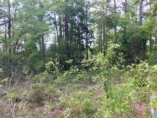 Dogwood Lake Estates - Land