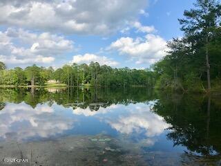 Dogwood Lake Estates - Land