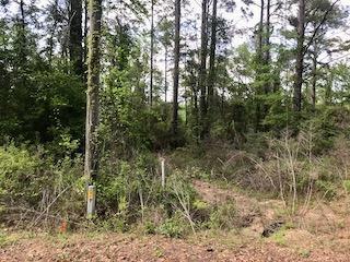 Dogwood Lake Estates - Land