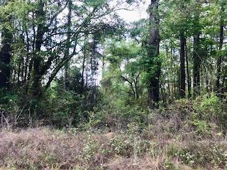 Dogwood Lake Estates - Land