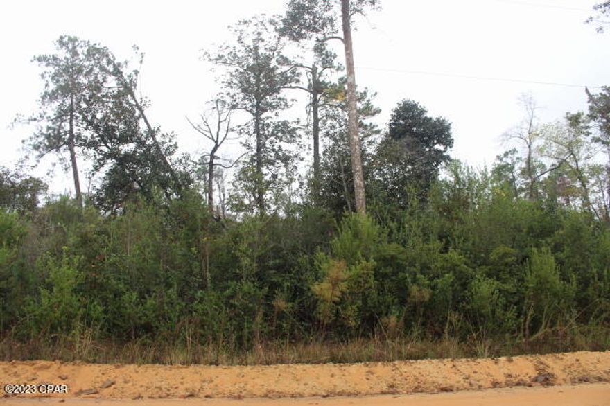 1 ACRE MOL.  Wooded Single Family Residential Building Lot or Mobile Homes are acceptable in this section of the subdivision.  Lot appears to have a creek that crosses the front.  Close drive to Pike Pond Road which takes you directly to Hwy 231.  South to Panama City to Beaches and North to I-10.  The POA is not mandatory but for $135 annually you can become a member and enjoy the amenities that will be included.