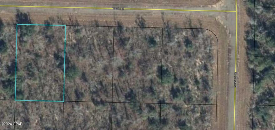 Looking for privacy. A great building lot located in Sunny Hills. Deed restrictions do apply. Must be a site built home. Located close to lakes for swimming and fishing. sunny Hills offers a golf course to the golfers. Looking for an investment or a place for your new home. Call a Realtor today!