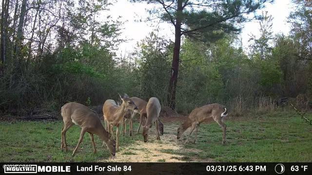 No Named Subdivision - Land