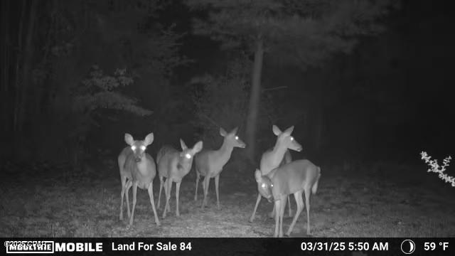 No Named Subdivision - Land