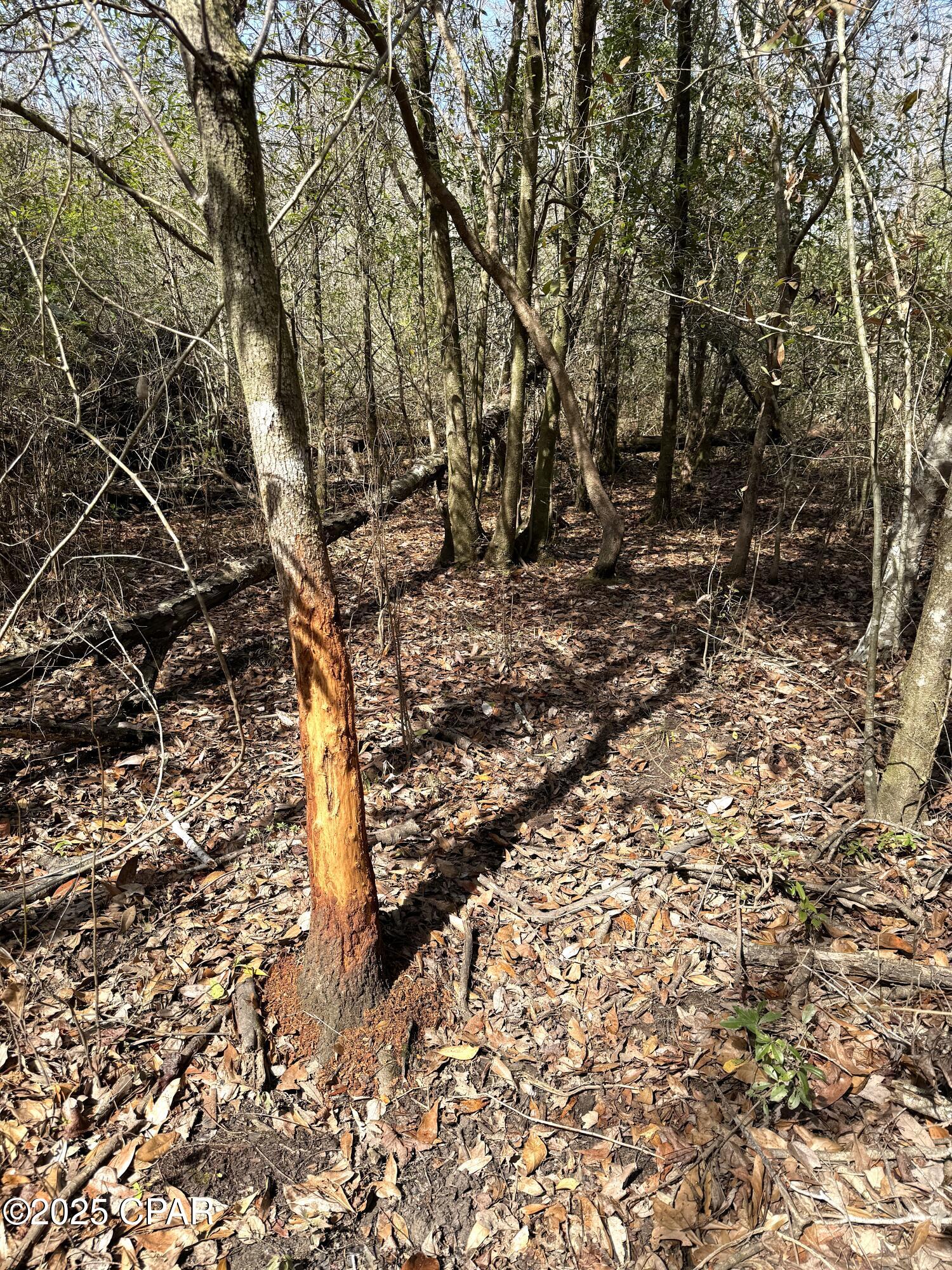 No Named Subdivision - Land