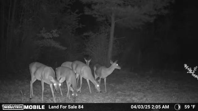 No Named Subdivision - Land