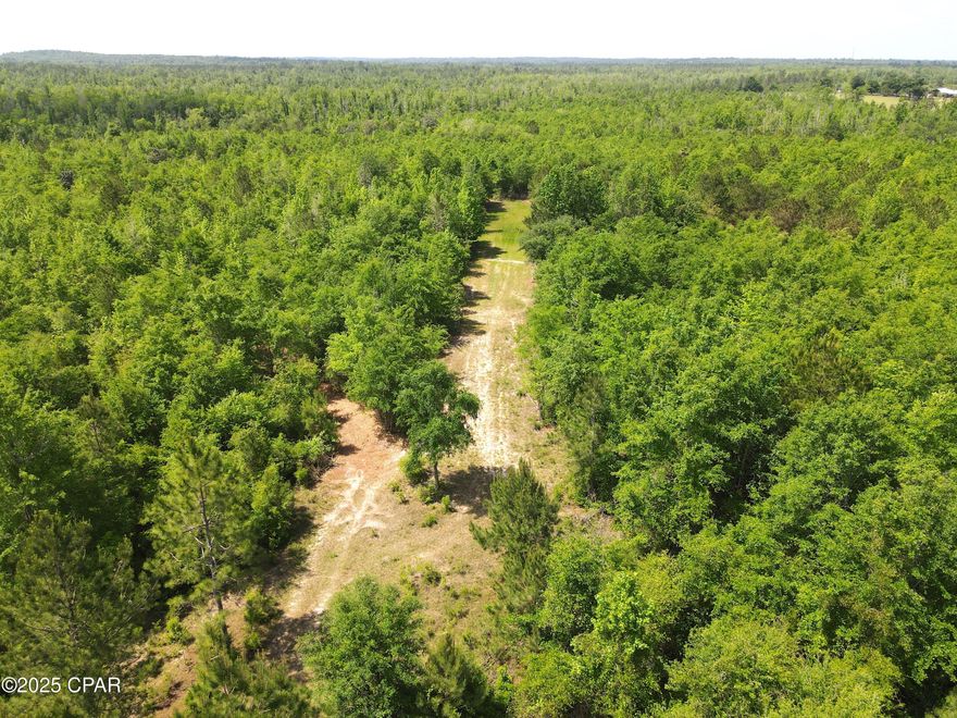 Attention Deer Hunters! Discover your next trophy whitetail hunting property with this 78.9± acre parcel of land in Jackson County, Florida, positioned off Gardenview Road. If you've been searching for a hunting property at an unbeatable price per acre, your search ends here. This tract offers more bang for your buck than most comparable parcels currently listed for sale on the market.

A desireable feature is Dry Creek, a constant flowing creek that carves through the property, acting as a natural travel corridor for wildlife, especially deer. This reliable water source creates undisturbed bedding thickets along its banks, the kind of sanctuary where mature bucks thrive and grow to impressive sizes. The land is also loaded with young hardwoods, providing a crucial feed source for deer and other game.

The current owner has made a significant investment to enhance your hunting success. Multiple new roads have been carved throughout the property, opening up access to previously untouched areas - the kind of spots where pressured deer often retreat. Furthermore, tree stand locations are already in place, ready for you to plant your preferred attractants and draw in those elusive whitetail bucks. This groundwork saves you time and money, putting you in a prime position for the upcoming deer season.

Key Features:

78.9± acres of prime hunting land in Jackson County.
Priced aggressively below market value for similar acreage.
Dry Creek - a natural deer magnet and bedding sanctuary.
Heavy deer traffic utilizing the creek corridor.
Thriving young oak trees and hardwoods for vital deer forage.
Multiple newly constructed roads for easy access through the property.
Established food plot locations.
Conveniently located off Gardenview and Mutual Road.
Don't let this incredible opportunity pass you by. A property of this size, with a live creek and established hunting infrastructure, offered at this price point, won't last long. Boundary lines in photos are estimated and not an official survey.