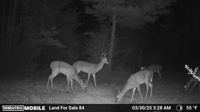 No Named Subdivision - Land