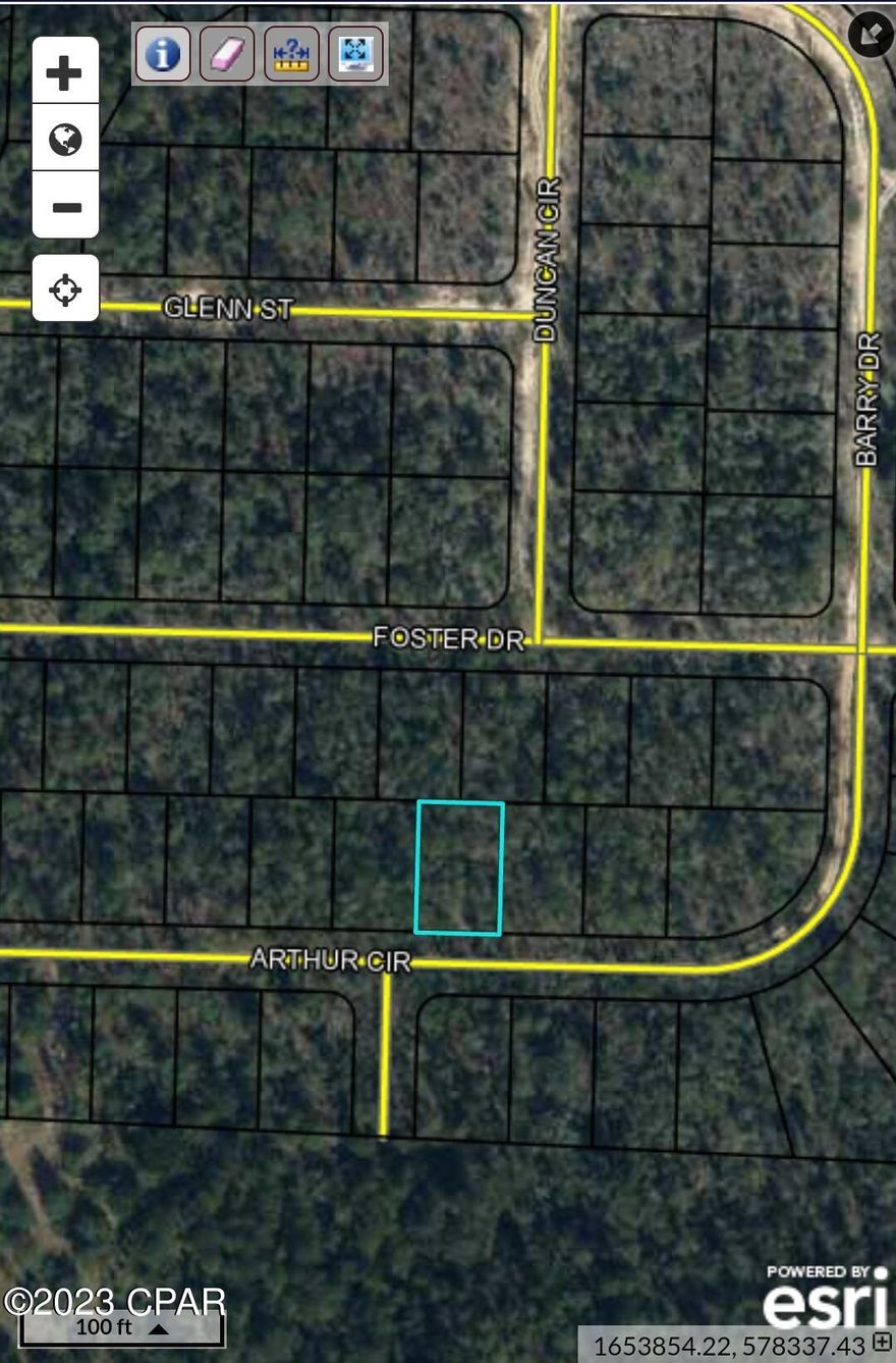 This property is in the up-and-coming Sunny Hills subdivision. It is in area of the subdivision that has been relatively untouched to development recently. Sunny Hills is home to a golf course, Boat Lake Swim Park and a recreational park. There are also many lakes in the area.  Sunny Hills has seen renewed growth in the last couple of years. There are many builders in the area building new homes in this subdivision making this a good investment if growth continues. You will need a 4-wheel drive vehicle to access this lot since it is in an area not often traveled and the roads are sandy.