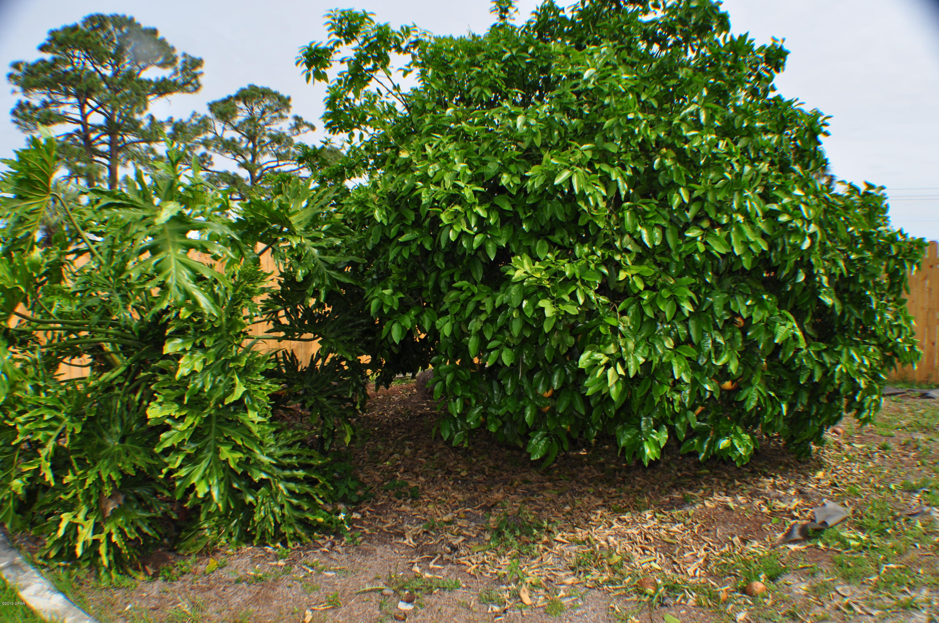 Treasure Cove Unit 2 - Residential