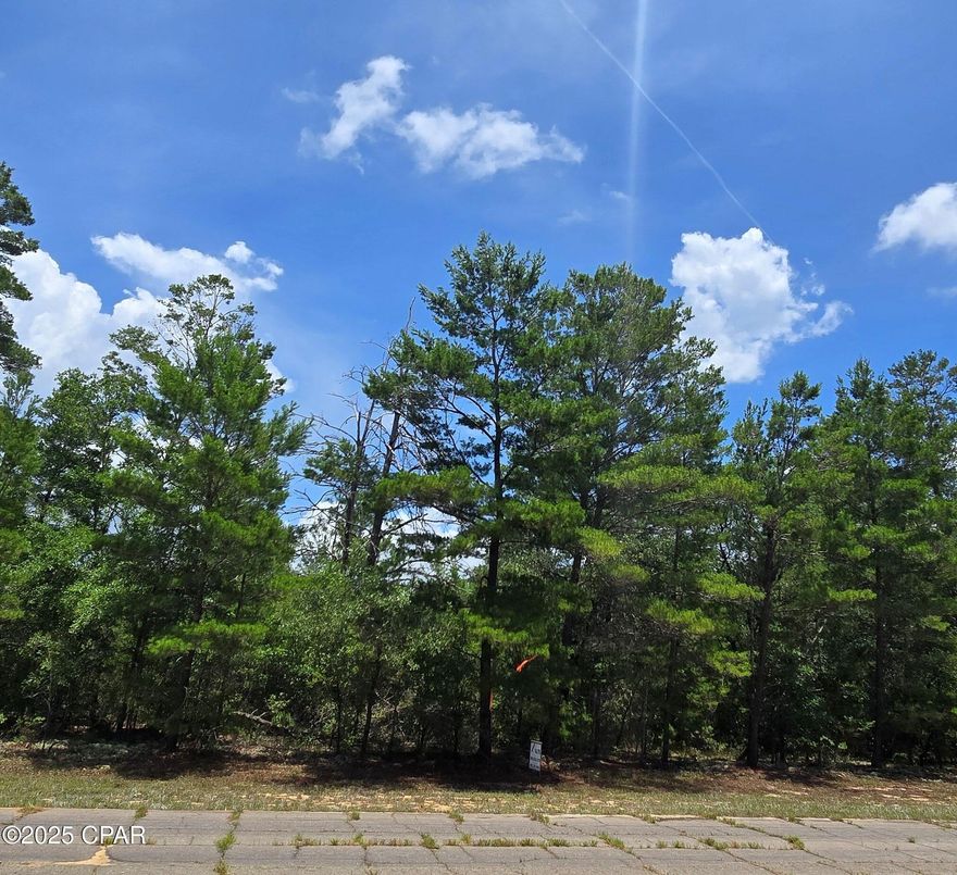 Discover the perfect spot to build your dream home on this 0.364-acre vacant lot located on peaceful Jamaica Circle in the Sunny Hills community of Chipley, FL. Nestled in a quiet, natural setting, this lot offers an excellent opportunity for those seeking the tranquility of country living with the convenience of nearby amenities.

An added bonus—the adjacent lot is also available to purchase in addition to this lot, providing the potential for expanded space, added privacy, or future investment. Whether you're planning a primary residence, vacation retreat, or investment property, this location offers flexibility and potential.

Sunny Hills features a beautiful golf course, access to several lakes, and is conveniently located just a short drive to Panama City and the Gulf Coast beaches. Don't miss out on this opportunity to own land in one of Florida's up-and-coming communities!