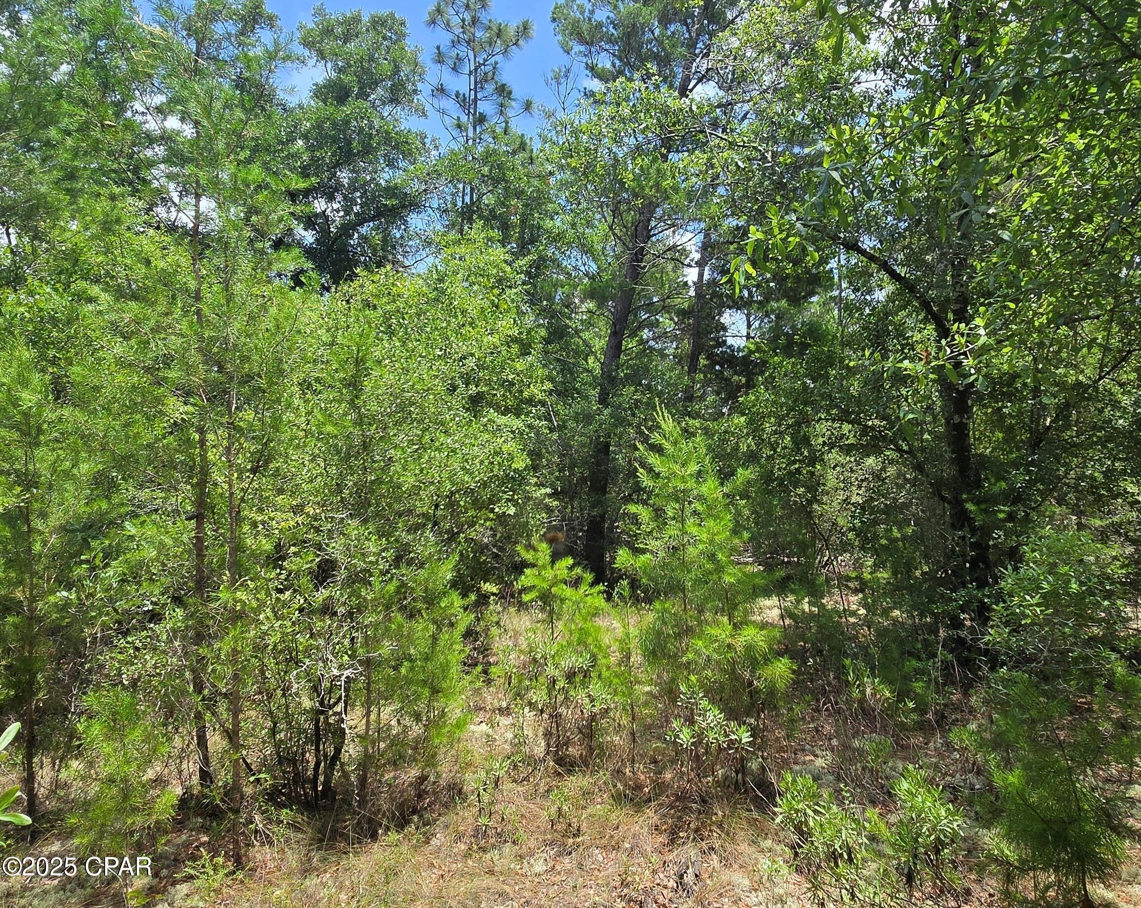 Sunny Hills Unit 2 - Land