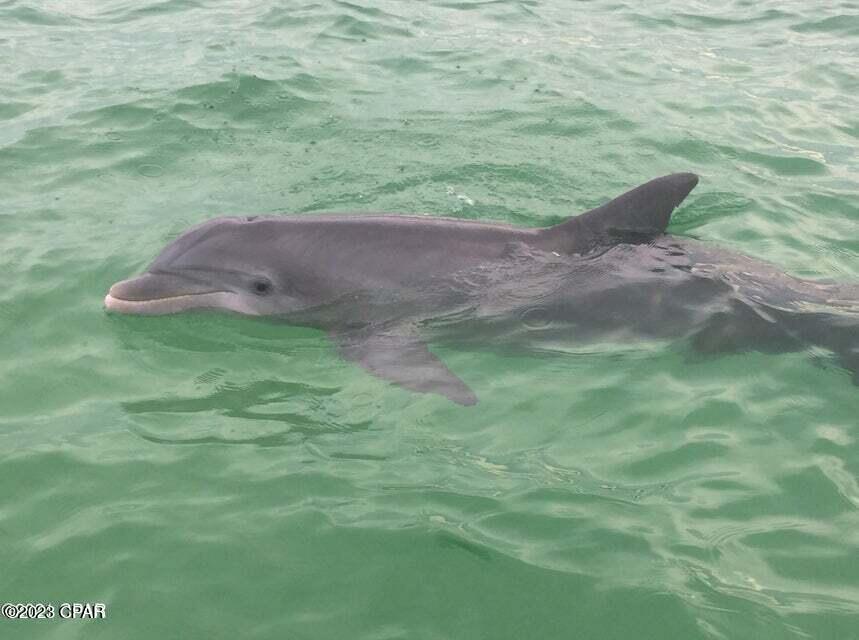 Colony Club - Residential