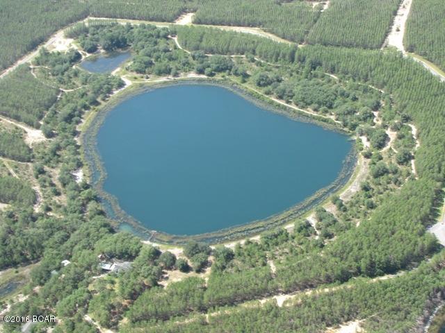 Bream Pond - Land