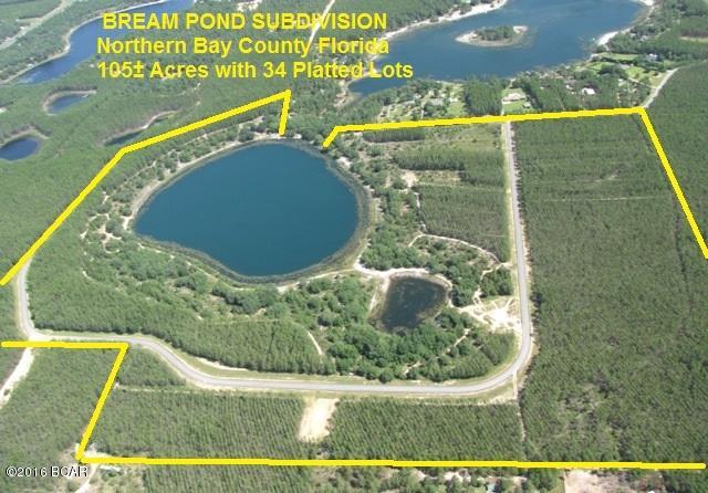Bream Pond - Land