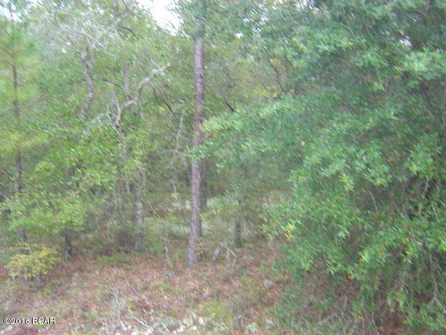 Compass Lake In The Hills - Land