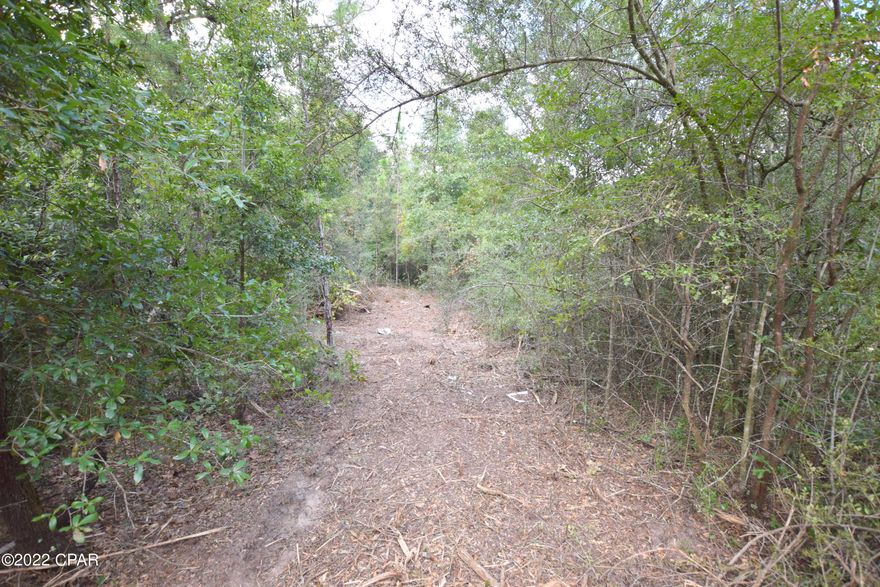 This 5-acre tract of land has endless possibilities with plenty of privacy! Located off a dead-end road, this lot is primarily wooded and offers multiple sites for a mobile home or new construction.