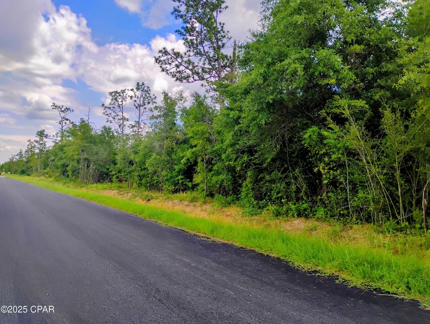 Have you dreamed of having a small ranch or homestead not far from amenities, but far enough to feel secluded? Then this is the property for you. Offering over 7.5 acres of high and dry Florida land, this beautiful parcel is located near other ranches and is surrounded by native wildlife, providing the peace and tranquility that country life has to offer.

Access is easy with newly paved Linger Longer Road leading to the property, while Highway 231 connects you to nearby small communities and Panama City, where you will find a variety of shops, restaurants, healthcare facilities, and employment centers. The property is conveniently located just 30 minutes south of I-10, approximately 45 minutes to Tyndall Air Force Base, within 15 minutes to Econfina Creek and springs, and less than an hour to the stunning white sandy beaches of Mexico Beach or Panama City Beach.

Whether you are looking to build your dream home, start a homestead, or secure a peaceful retreat, this property offers the space and flexibility to make your vision a reality.