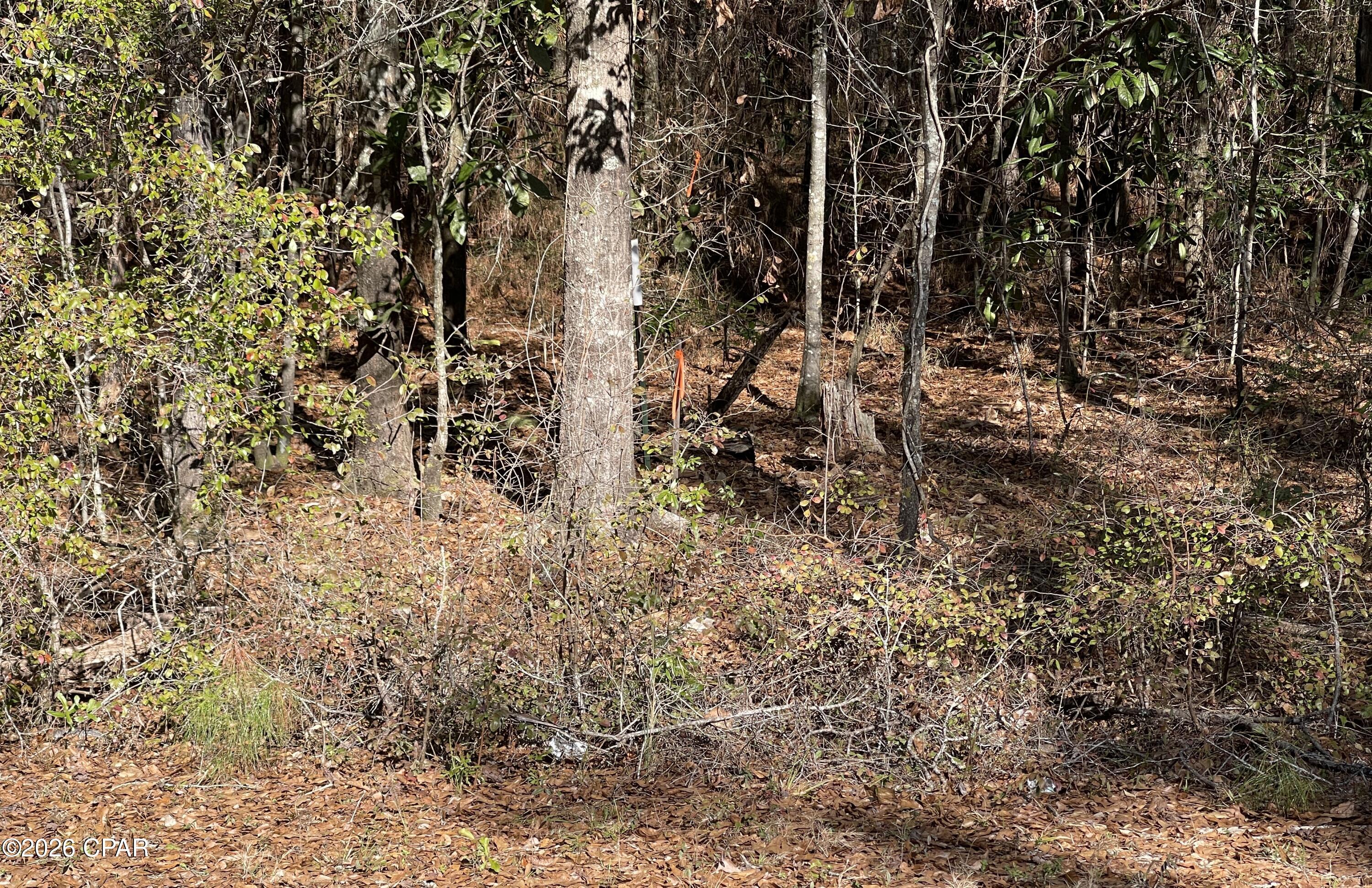 [No Recorded Subdiv] - Land