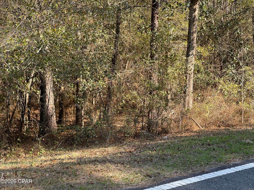 Discover the perfect blend of privacy and convenience with this one-acre wooded residential lot. Located on a paved road just minutes from Highway 231, this property provides a peaceful setting while keeping you close to everything you need.

Enjoy easy access to Cottondale and Marianna, with Dothan to the north and Panama City less than an hour to the south. Interstate 10 is only 10 minutes away, making commuting or weekend travel a breeze.

Whether you're looking for a private hunting getaway, an investment opportunity, or the ideal spot to build your dream home, this property checks all the boxes.

 Don't miss your chance to own a quiet slice of country living with unbeatable access to major destinations.