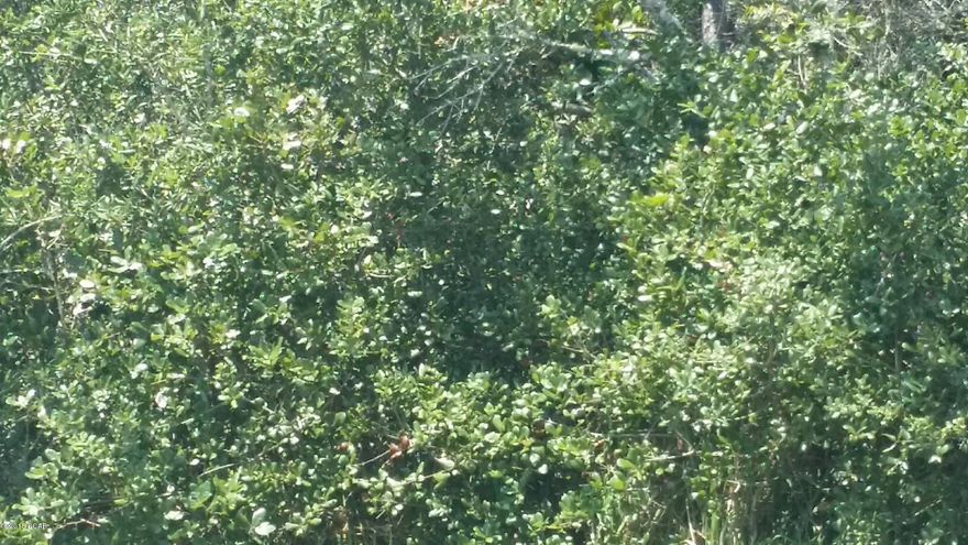 Price reduction---owner states make offer---Vacant building lot on a few block from Gulf of Mexico--greatly reduced/////quite neighborhood/super area to build your beach ''get a way--convenient to everything - without the traffic!!!!