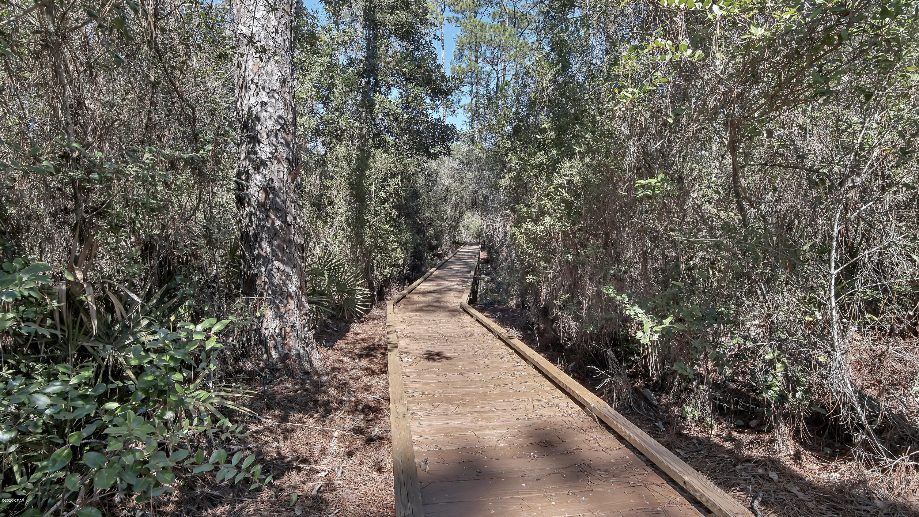 Wild Heron Phase II - Residential