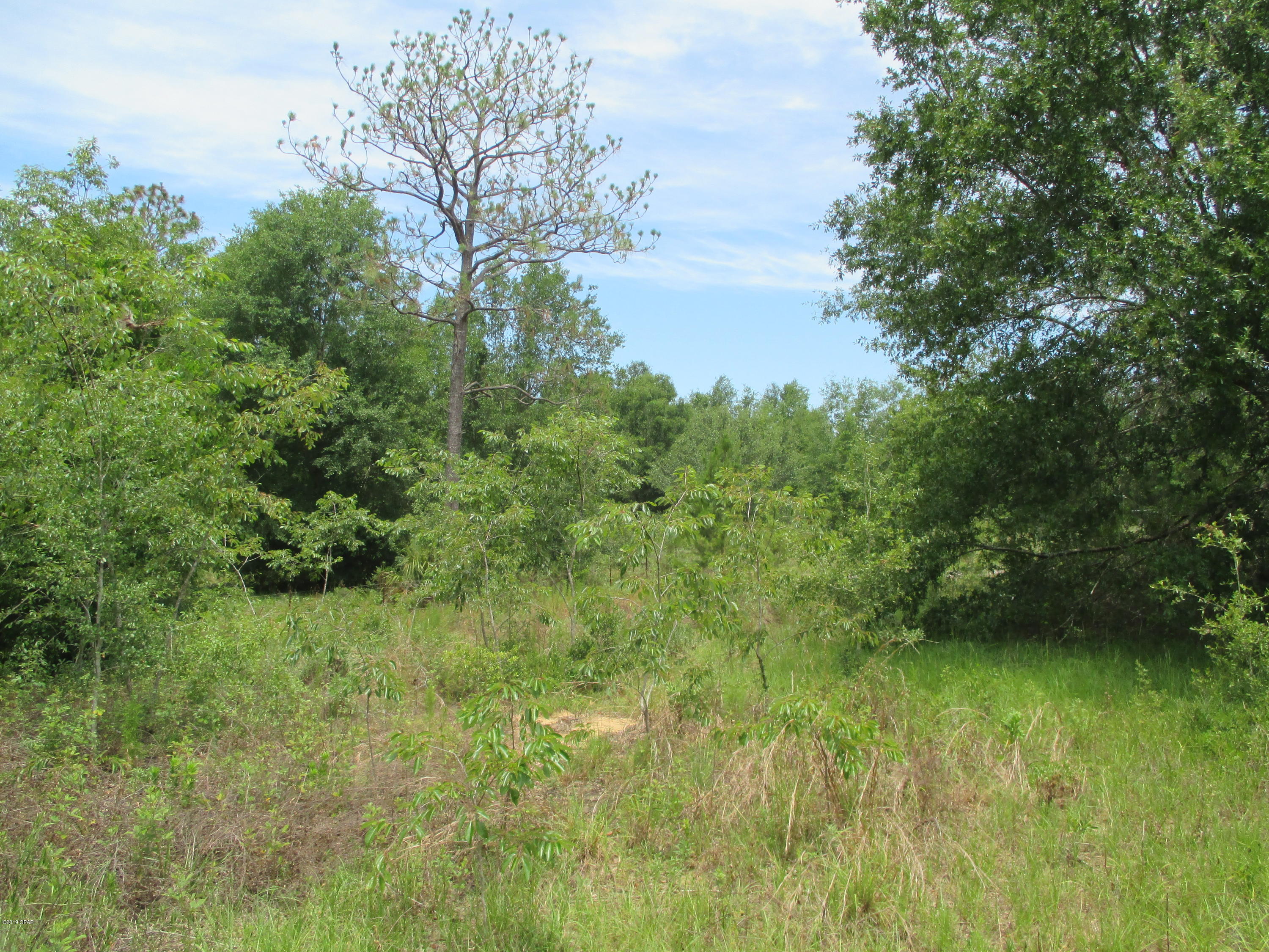 [No Recorded Subdiv] - Land