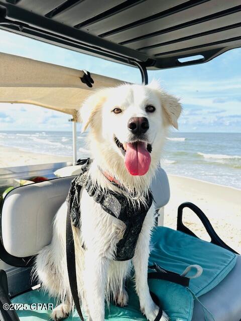 Indian Pass Beach - Residential