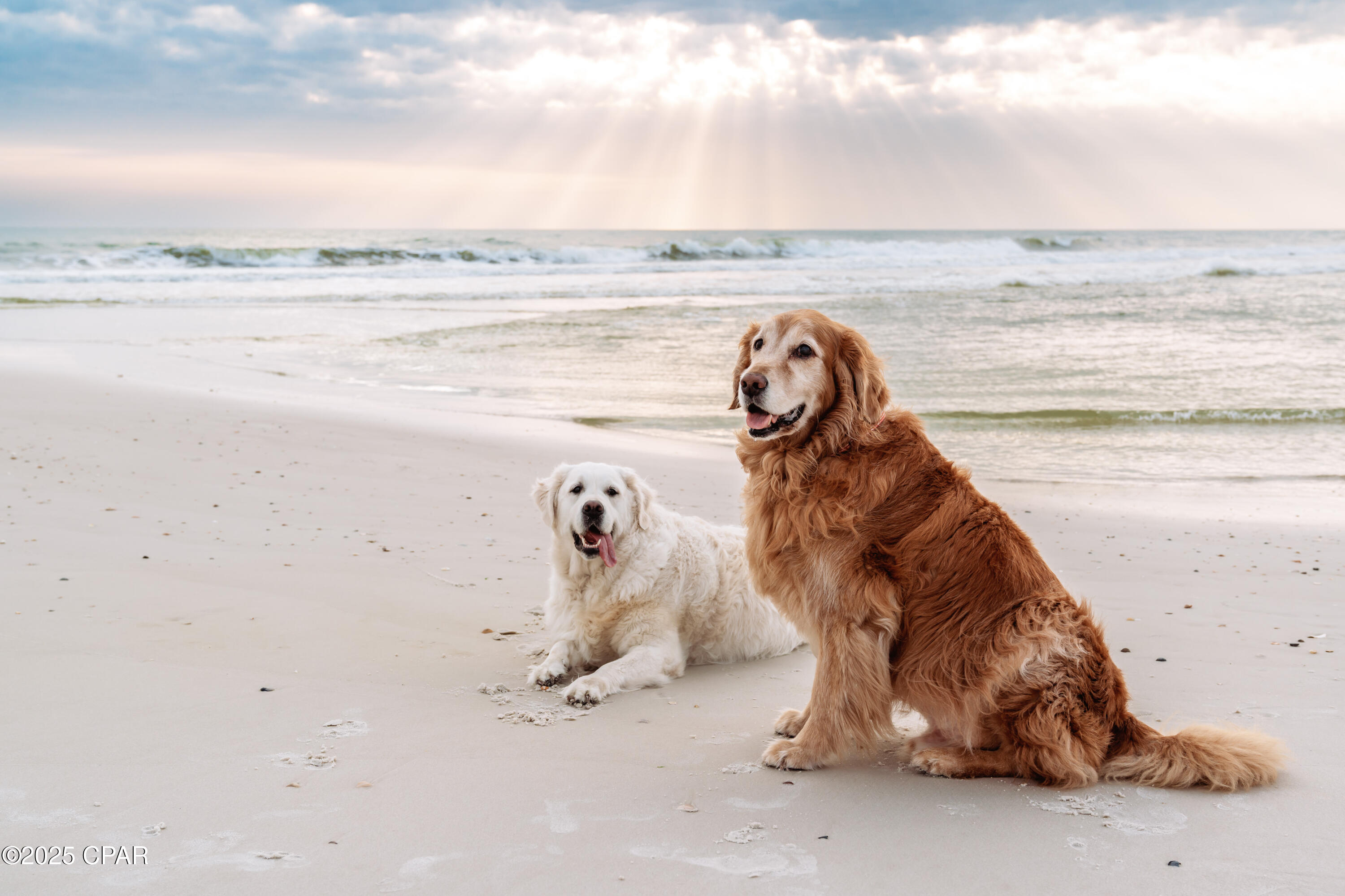 Indian Pass Beach - Residential