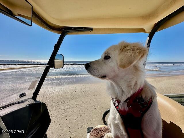 Indian Pass Beach - Residential