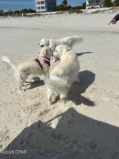 Indian Pass Beach - Residential