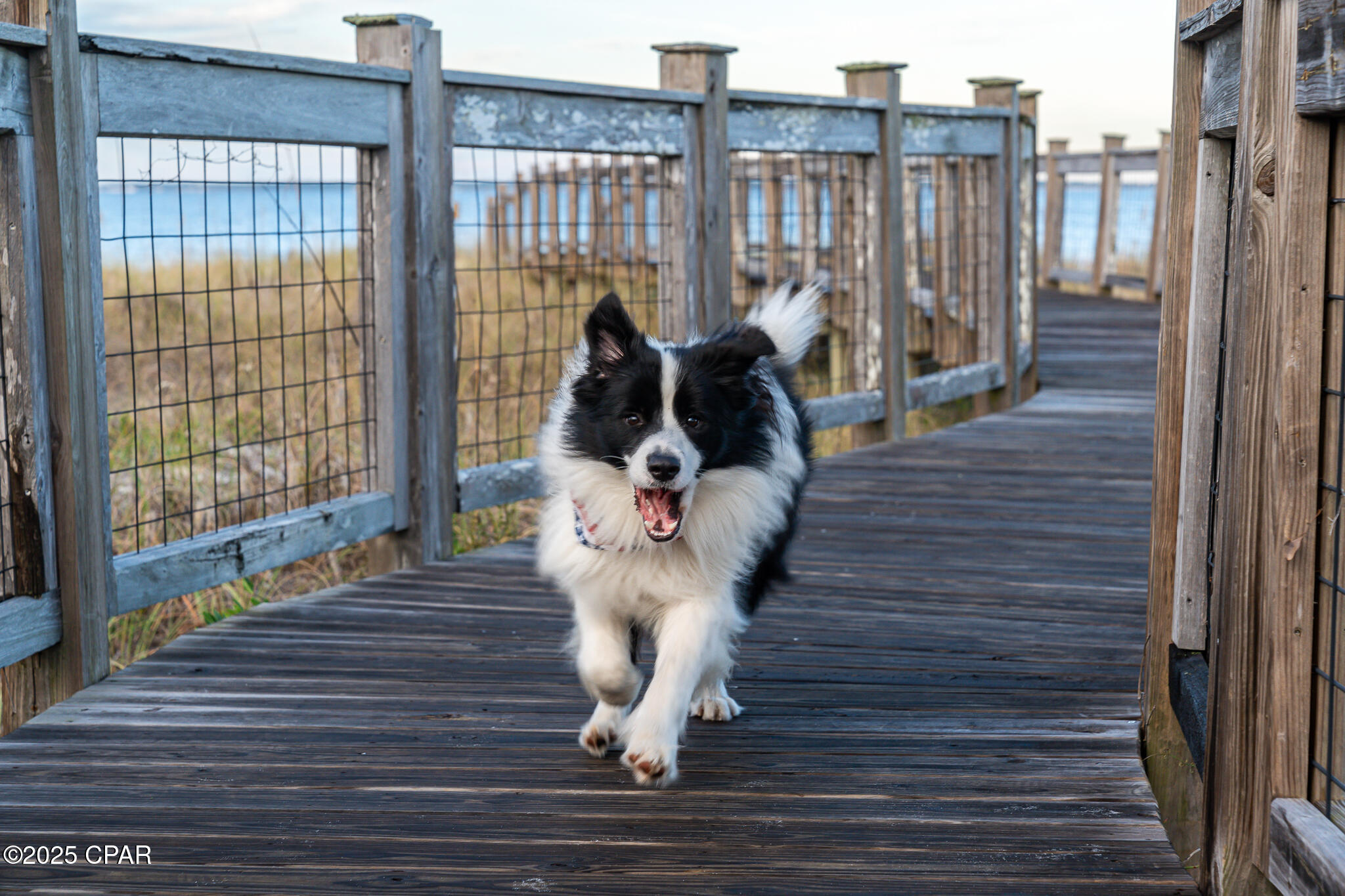 Indian Pass Beach - Residential