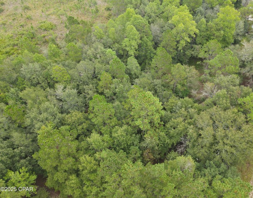 Priced to sell! This 0.33-acre lot offers an excellent opportunity for your mobile home, barndominium, or tiny home. With no HOA restrictions, you have the freedom to create your ideal living space. Electricity is available, and the property will require a well and septic system (perc test has not been conducted). Enjoy the best of Bonifay! This area offers outdoor adventures like fishing, kayaking, and golfing, plus nearby Ponce de Leon Springs State Park for crystal-clear swimming. Experience the annual Northwest Florida Championship Rodeo and explore local dining, shopping, and small-town charm—all within easy reach of Panama City Beach and Dothan. BOUNDARY LINES ARE ESTIMATES AND BUYER IS RESPONSIBLE TO PERFORM THEIR OWN DUE DILIGENCE REGARDING VACANT LAND. I DO NOT GUARANTEE THE ACCURACY OF ALL INFORMATION, HOWEVER, EVERYTHING STATED IN THE LISTING IS FROM COUNTY DATA AND IS PRESUMED TO BE TRUE AND WITHOUT ERROR.