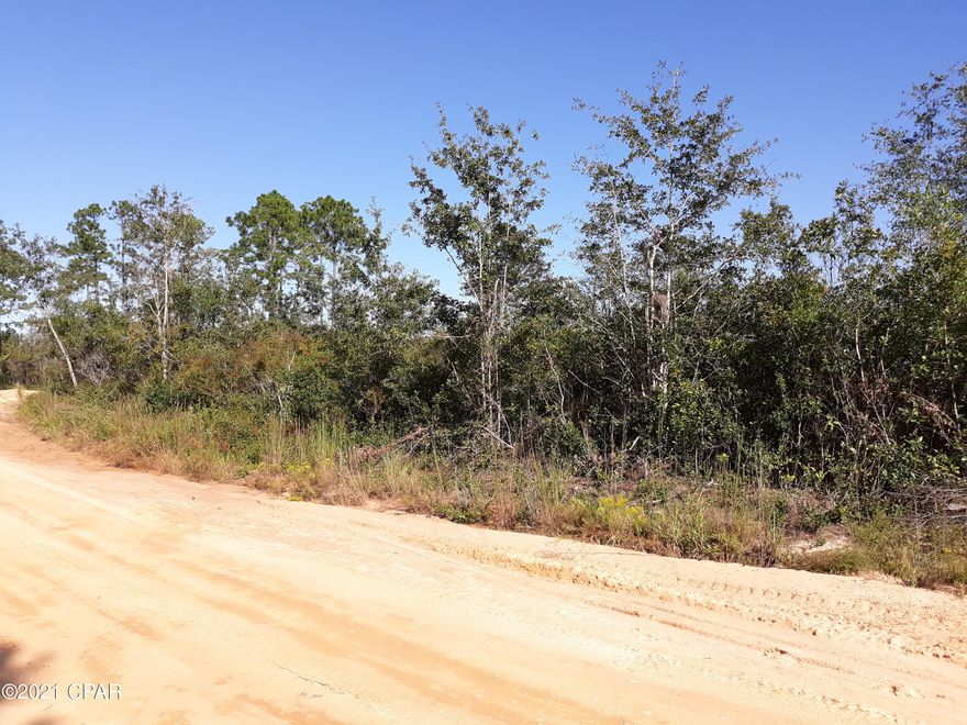 Nice wooded buildable lot one block behind View Dr. Show anytime