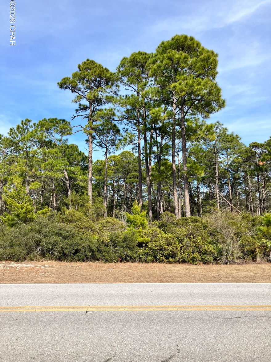 Rare Opportunity to own a large parcel of land on Wild Heron Way totaling 2.9 acres. Enjoy the view of scenic lake Powell just across the street. Lake Powell is the world's largest coastal dune lake, it's great for activities such as kayaking, fishing and paddle boarding. This location is minutes from 30A, South Walton and about 7 miles to Pier Park.  The Best part is NO HOA Fees. underground utilities are in place. Build your Dream Home today and subdividing this parcel may be possible as well.
