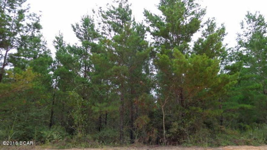 40 acres Planted Sand Pines that are believed to be 15 years old. Adjoining + acreage available, See MLS 641115. Close drive to Hwy 231, North to I-10 & South to Panama City Beaches and minutes drive to Compass Lake for boating, fishing, skiing and public boat ramp. Investment property or use as Residential.