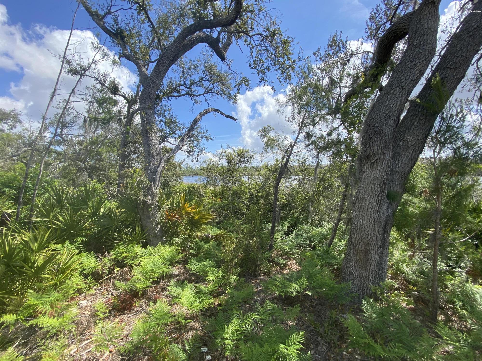 The Meadows & The Pointe - Land