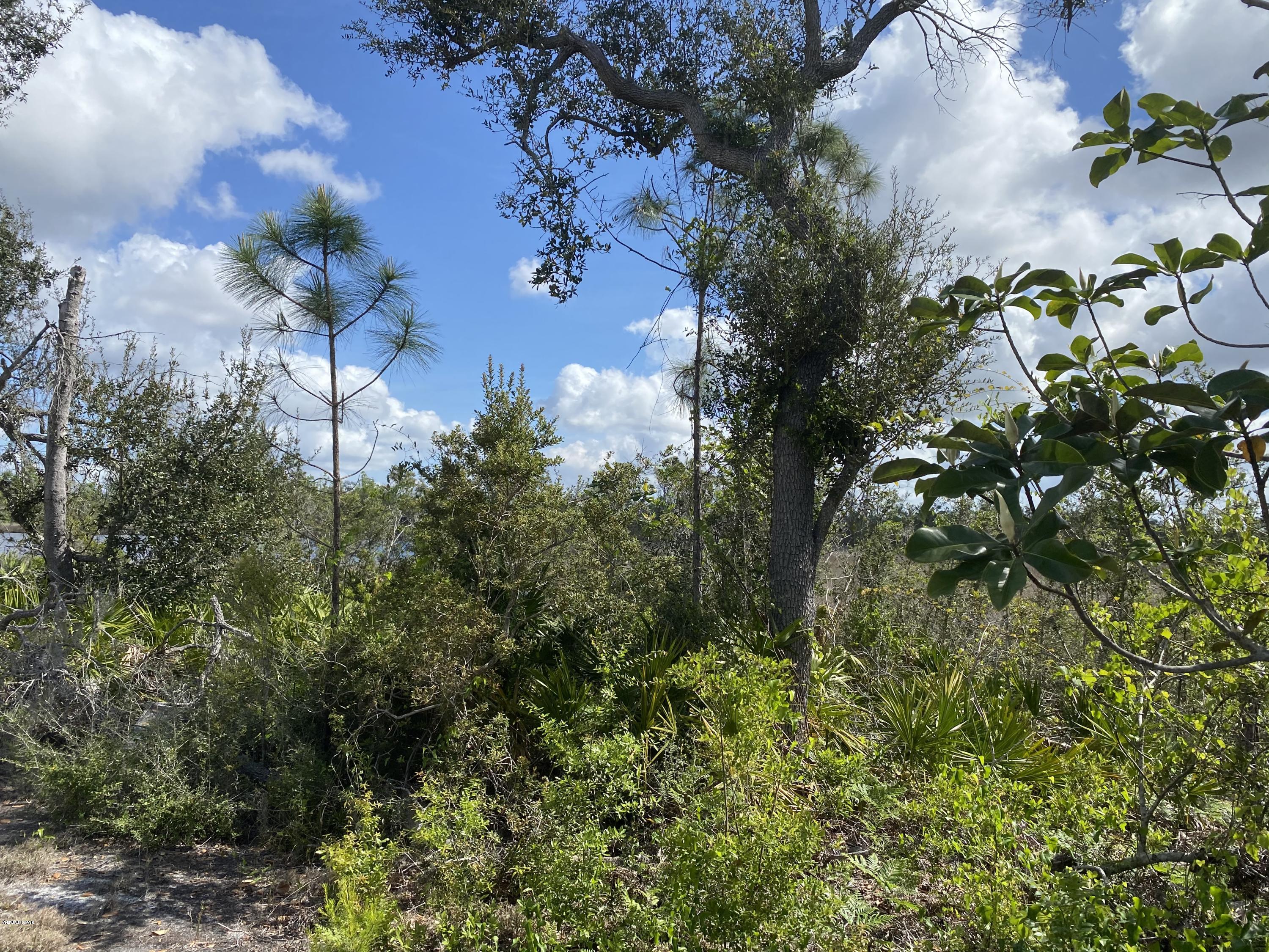 The Meadows & The Pointe - Land