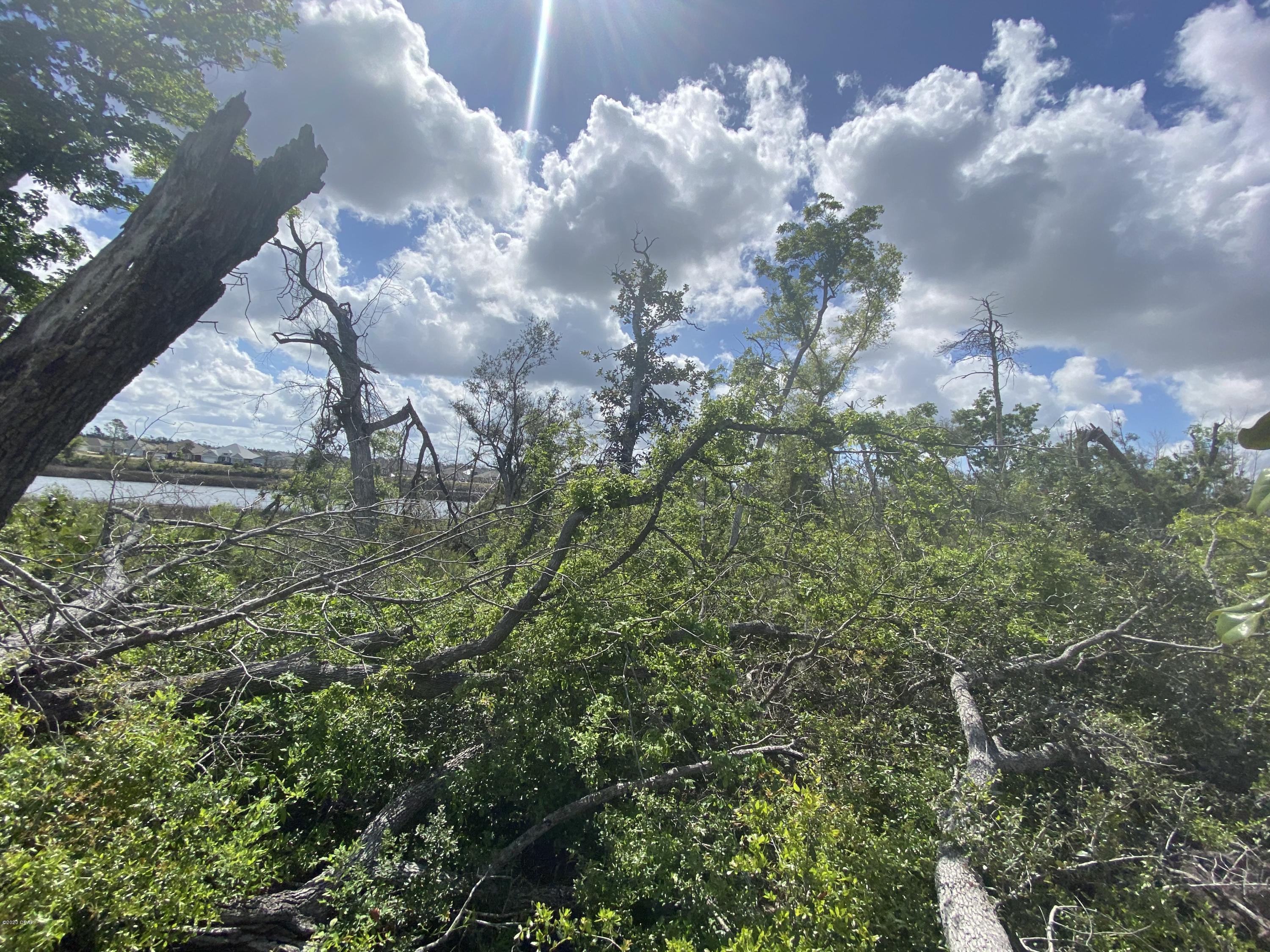 The Meadows & The Pointe - Land